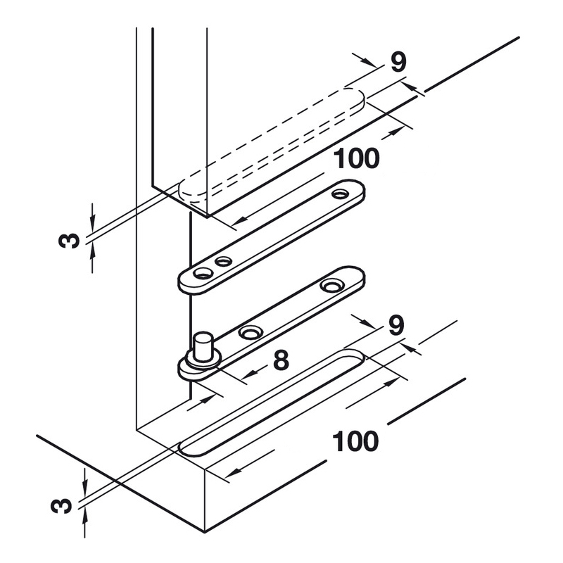STEEL PIVOT HINGE WITH IDENTICAL FLANGES 100mm