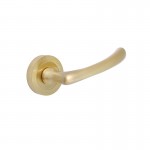 ASTRA ROSETTE / MATT GOLD 