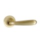 MARTINA ROSETTE / MATT GOLD 