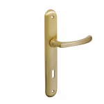 ASTRA PLATE / MATT GOLD 