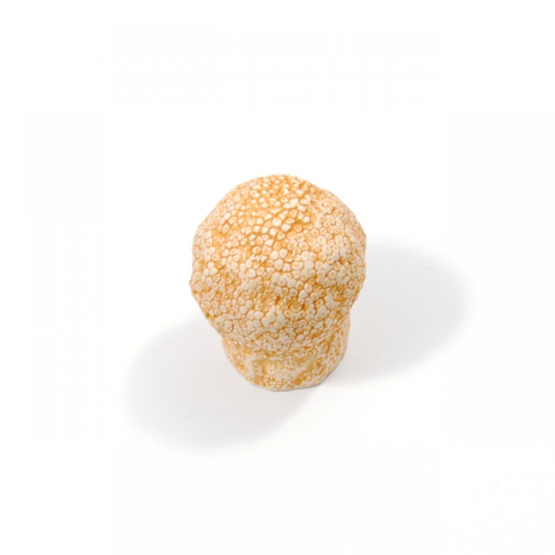 CORAL FURNITURE KNOB 28mm SHELLS COLLECTION