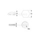 HEXAGONAL BRASS SCREW CAP / NICKEL DECORATIVE SCREW CAPS