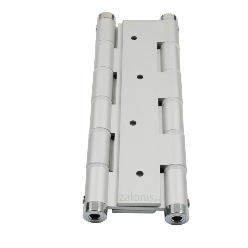 DOUBLE EFFECT SPRING HINGE