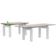 TABLE TOPS LIFT SLIDE RAILS / 40CM EXTENSION