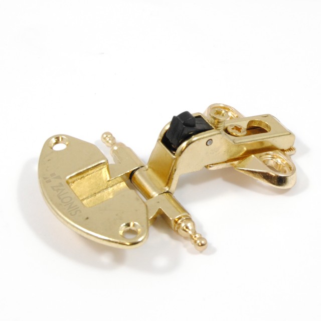 DECORATIVE DOOR HINGE / GOLD