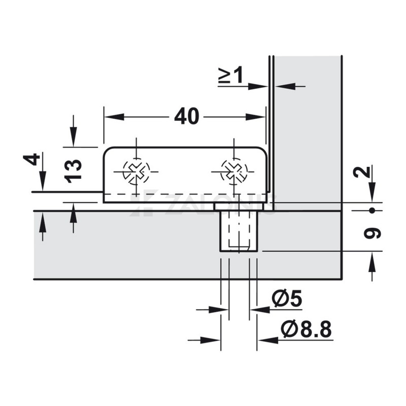 GLASS PIVOT HINGE 40mm / CHROME