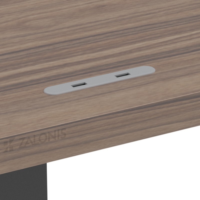 ΧΩΝΕΥΤΟΣ ΦΟΡΤΙΣΤΗΣ USB 83x13 / ΛΕΥΚΟ / ΜΕ 2 ΘΥΡΕΣ USB