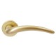 LONDON ROSETTE PLASTIC / MATT GOLD