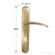 VARNA 242 PLATE / MATT GOLD 