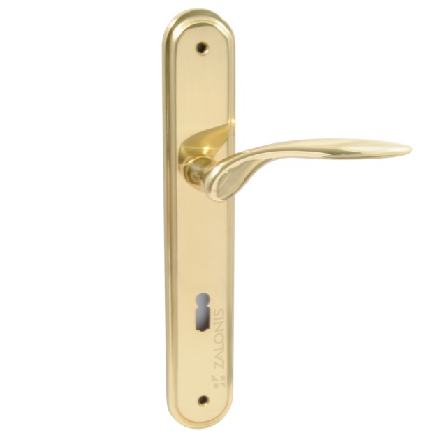 SPIRIT GOLD PLATE