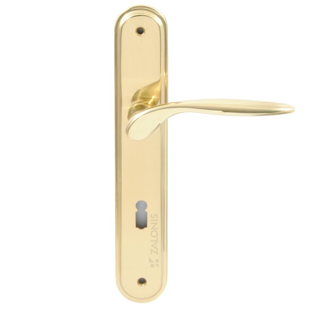 SPIRIT GOLD PLATE