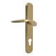 ENTRANCE HANDLE SPIRIT PLATE ROUND / GOLD / LEFT ENTRANCE DOOR HANDLES