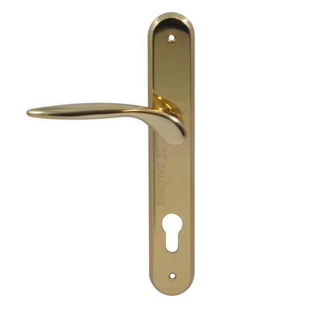 ENTRANCE HANDLE SPIRIT PLATE ROUND / GOLD / LEFT
