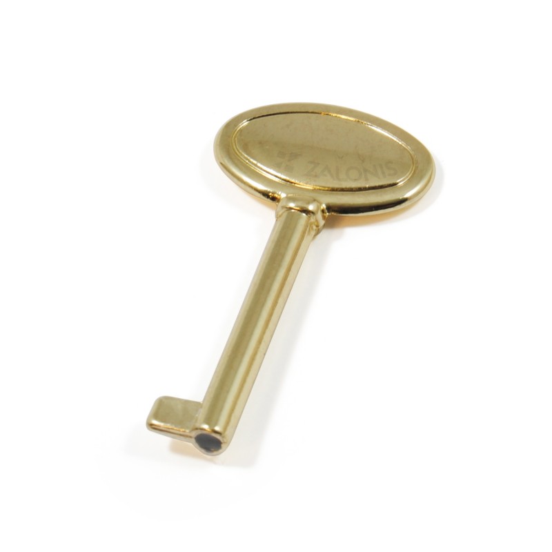 OVAL WARDROBE CUPBOARD LOCK KEY / GOLD