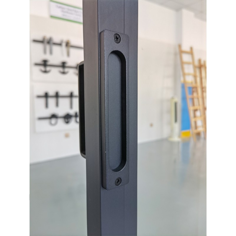 BARN DOOR SET WITH RAIL / GLASS / BLACK / 213.5x91.4 cm