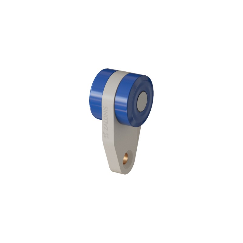 SINGLE SLIDING RAIL ROLLER H21