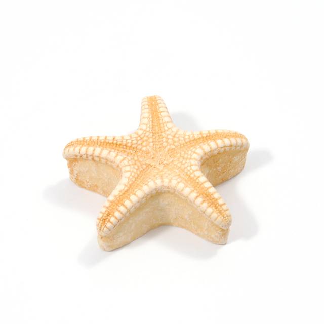 STARFISH FURNITURE KNOB