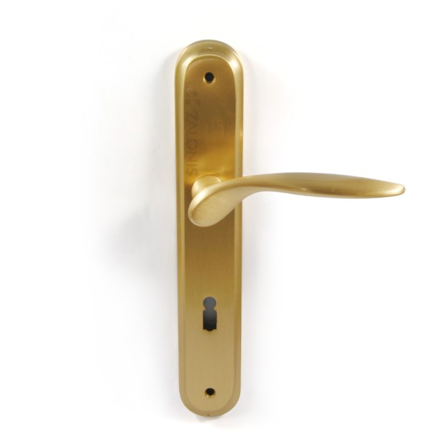 SPIRIT MATT GOLD PLATE