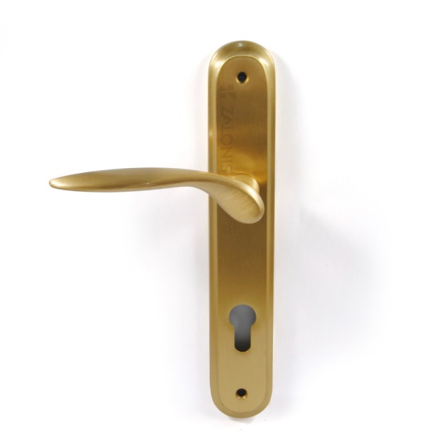 ENTRANCE HANDLE SPIRIT PLATE ROUND / MATT GOLD / LEFT