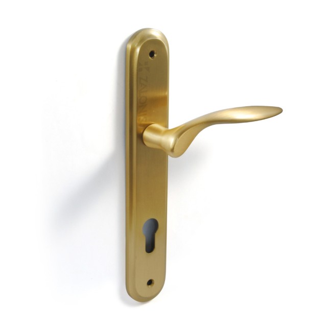 ENTRANCE HANDLE SPIRIT PLATE ROUND / MATT GOLD / RIGHT