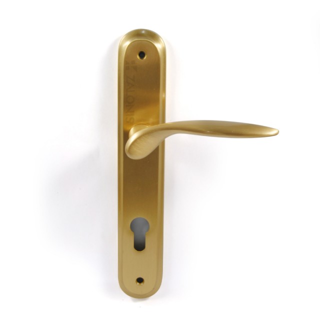 ENTRANCE HANDLE SPIRIT PLATE ROUND / MATT GOLD / RIGHT
